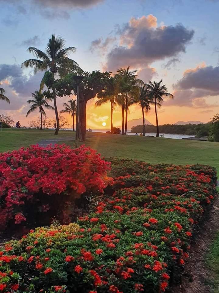 Le Madja'Kaz - Studio En Residence Et Bord De Mer - Sainte Luce Martinique Exteriér fotografie